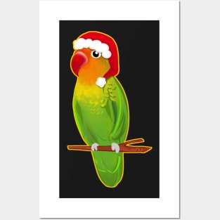 Christmas Bird Agapornis Bird Love Posters and Art